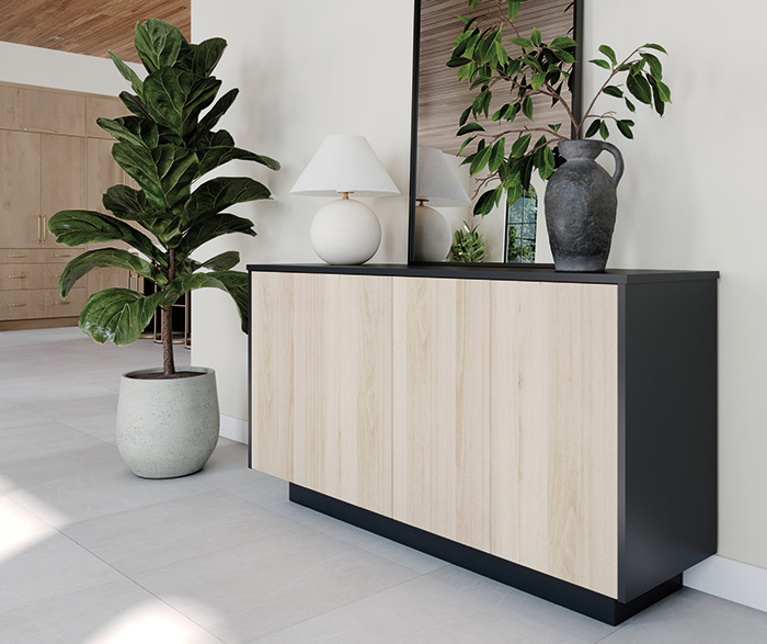 Modern Entryway Console